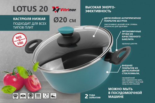 Кастрюля низкая Vitrinor Lotus 20