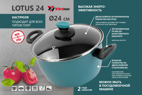Кастрюля Vitrinor Lotus 24 фото 2
